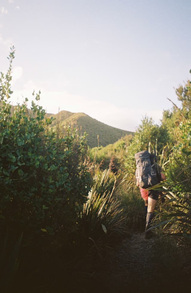 hiking backpack trail greenery bushes plants trees mountain outdoors nature sunlight sky blue path adventure exploration walking boots shorts forest landscape journey travel wilderness trekking