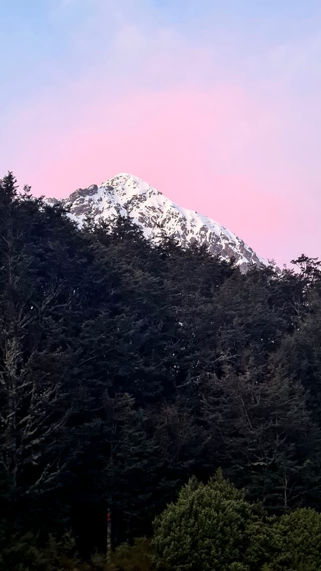 Mountain Snow Trees Forest Sky Pink Blue Green Nature Landscape Scenery Peak Summit Snowcapped Outdoors Wilderness Natural Beauty Tranquil Calm Serene Majestic Rugged Scenic Idyllic Picturesque Peaceful Quiet Remote Untouched