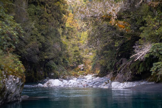 river water forest trees rocks foliage greenery nature landscape stream flow blue green lush outdoors scenic tranquil peaceful serene wilderness natural environment vegetation pathway sunlight reflection tranquility beauty exploration adventure journey untouched remote pristine calm quiet harmony balance ecosystem habitat conservation biodiversity earth life travel destination escape retreat relaxation rejuvenation