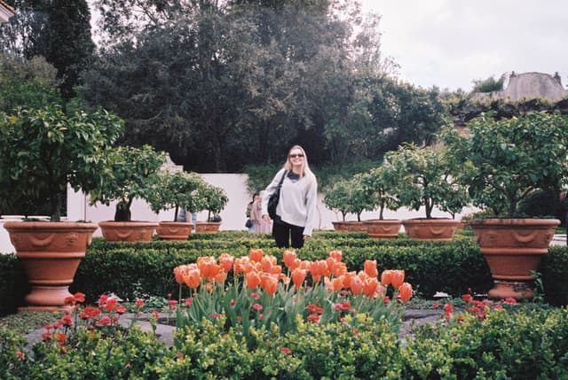 garden plants flowers trees pots greenery orange red green pathway person outdoors nature landscape bushes sky walkway foliage shrubs primary