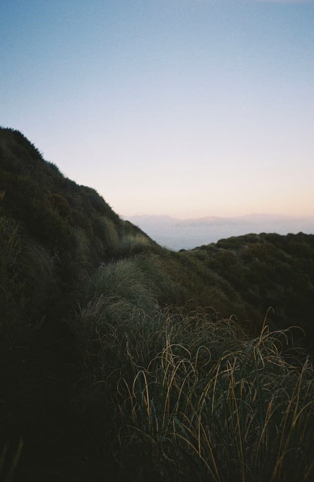 hill grass landscape nature sky horizon dusk twilight vegetation outdoors scenery slope green blue path serene peaceful tranquil