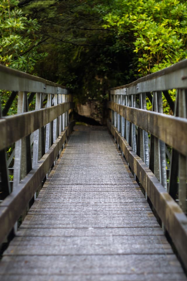 bridge pathway wood railing forest greenery trees foliage nature outdoor perspective walkway path green brown structure wooden bridge natural environment scenery landscape travel adventure exploration tranquility serene peaceful