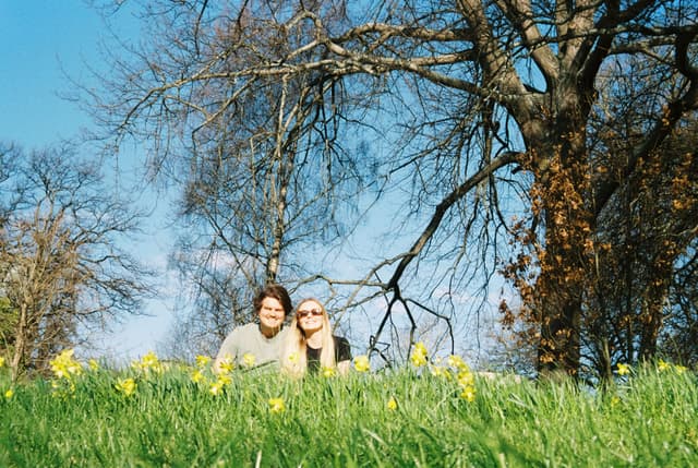 people trees grass flowers sky branches leaves outdoors nature park spring yellow green blue sunlight shadows landscape field meadow