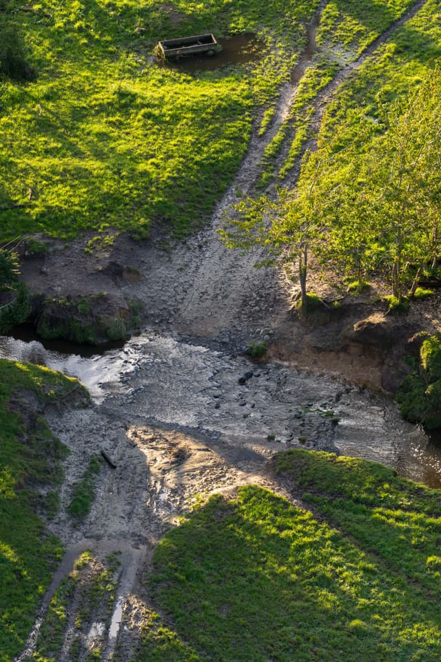 grass greenery stream water path dirt sunlight shadow tree landscape nature outdoors rural countryside green brown texture pattern erosion bank slope hill terrain vegetation environment field meadow pasture