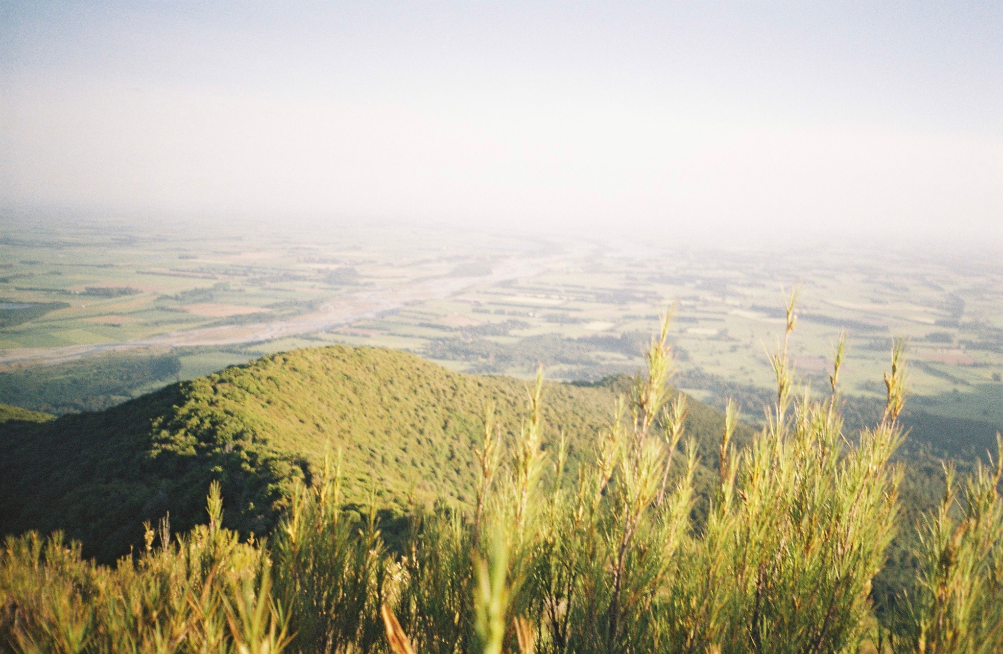 landscape nature hills vegetation greenery plants horizon sky sunlight outdoor scenic vista panoramic serene peaceful primary green