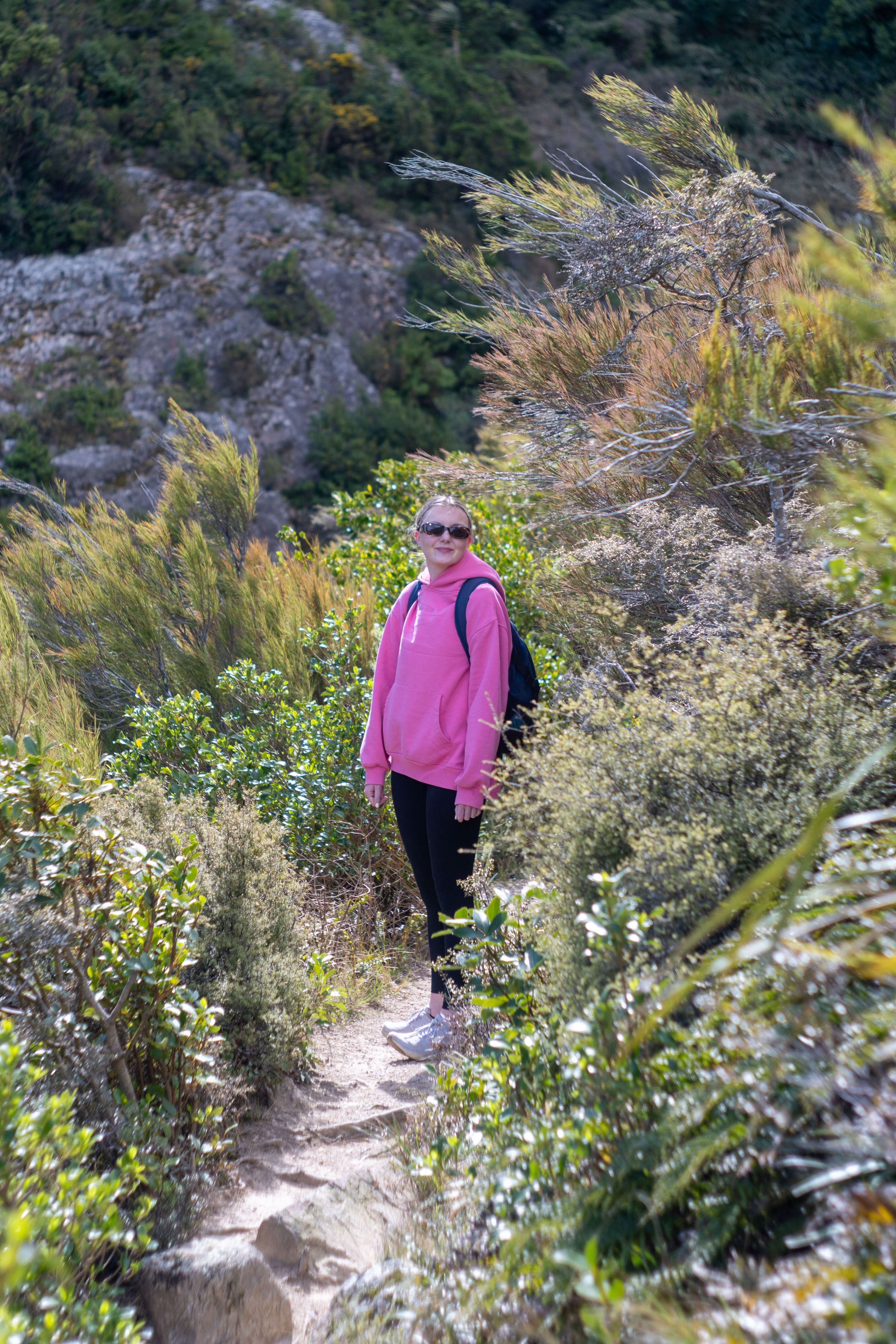 hiking trail nature outdoors person pink sweatshirt backpack sunglasses greenery plants bushes rocks path hillside casual walking primary green
