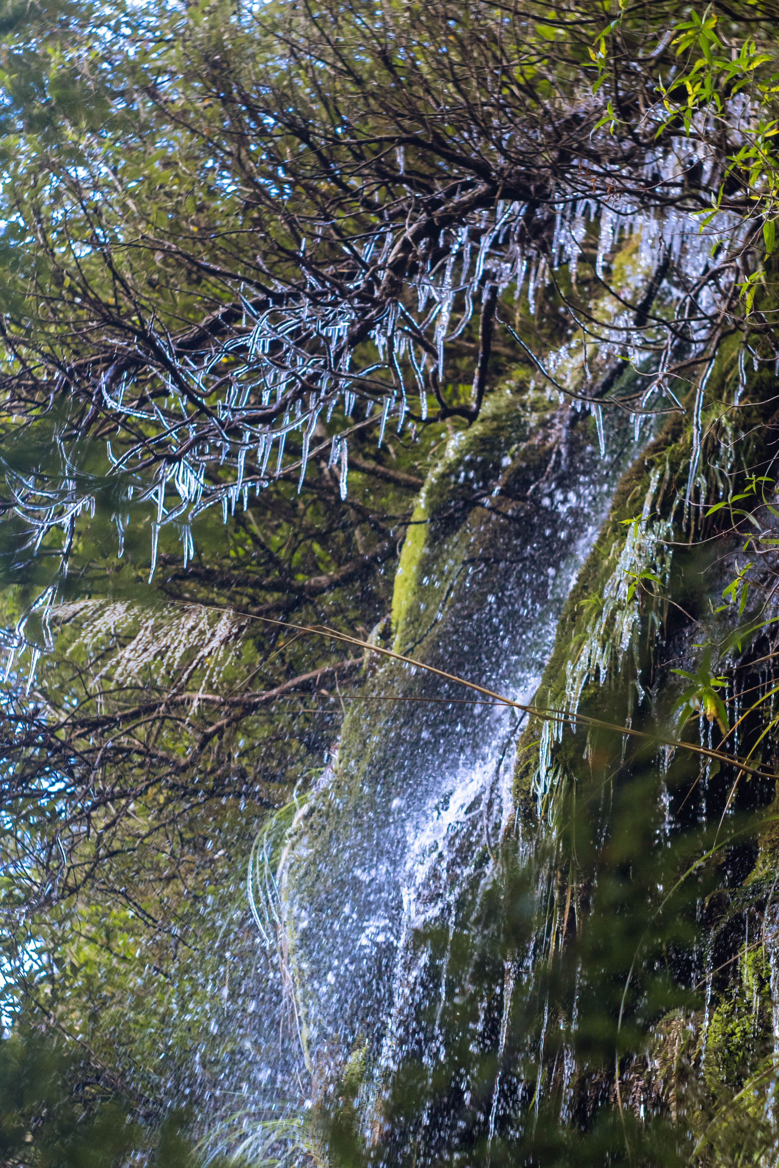Frozen falls