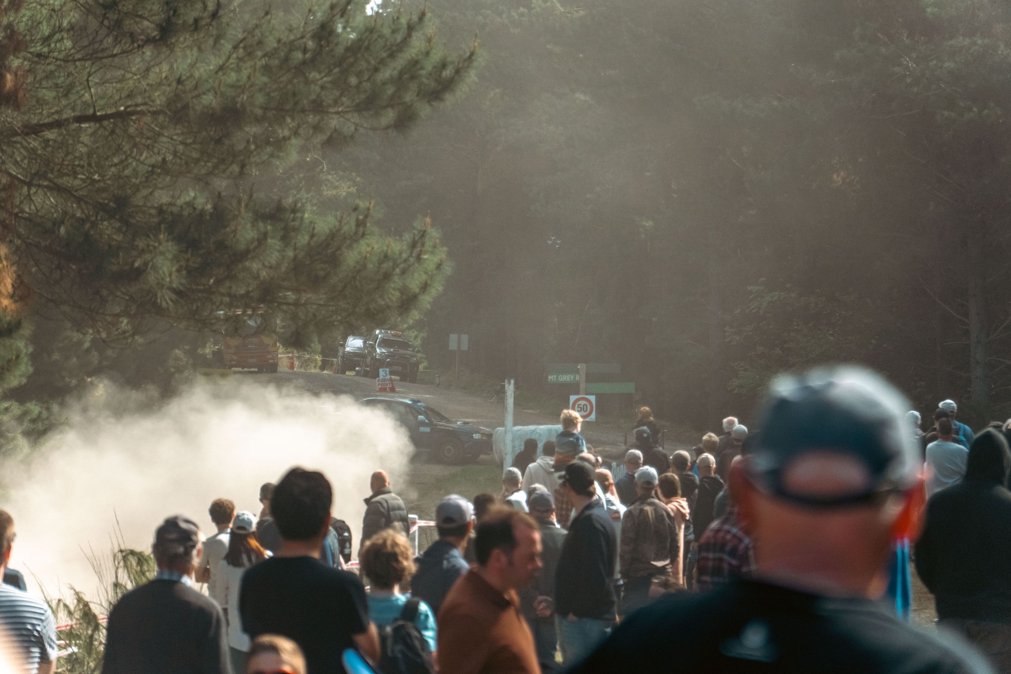 People Crowd Forest Trees Dust Sunlight Outdoors Gathering Event Blue Green Brown