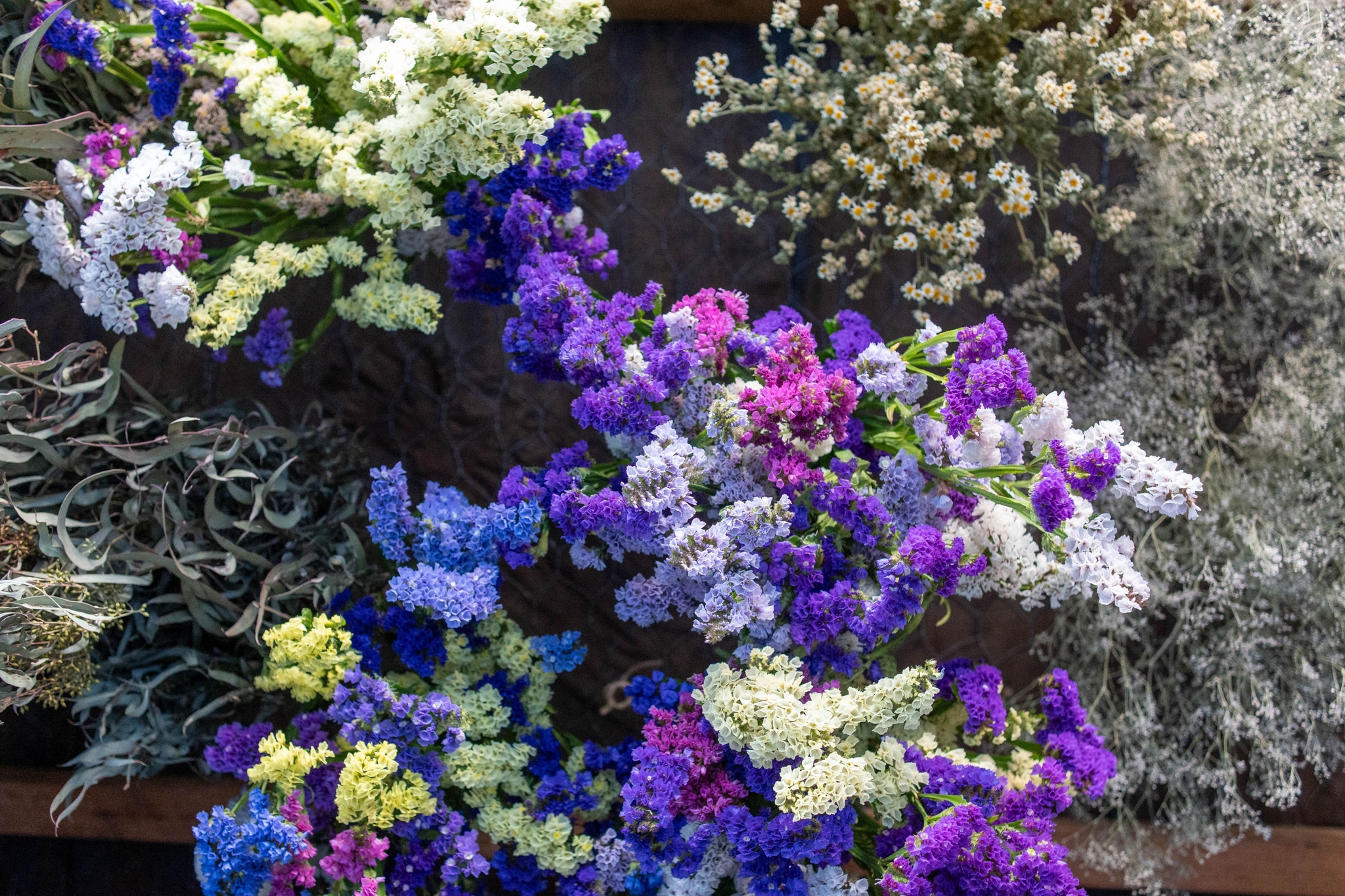 Flowers Plants Purple White Green Yellow Blue Leaves Stems Petals Blossoms Bouquets Arrangement Nature Floral Garden Botany Foliage Texture Natural Colorful Vibrant Fresh Blooming Decorative Primary