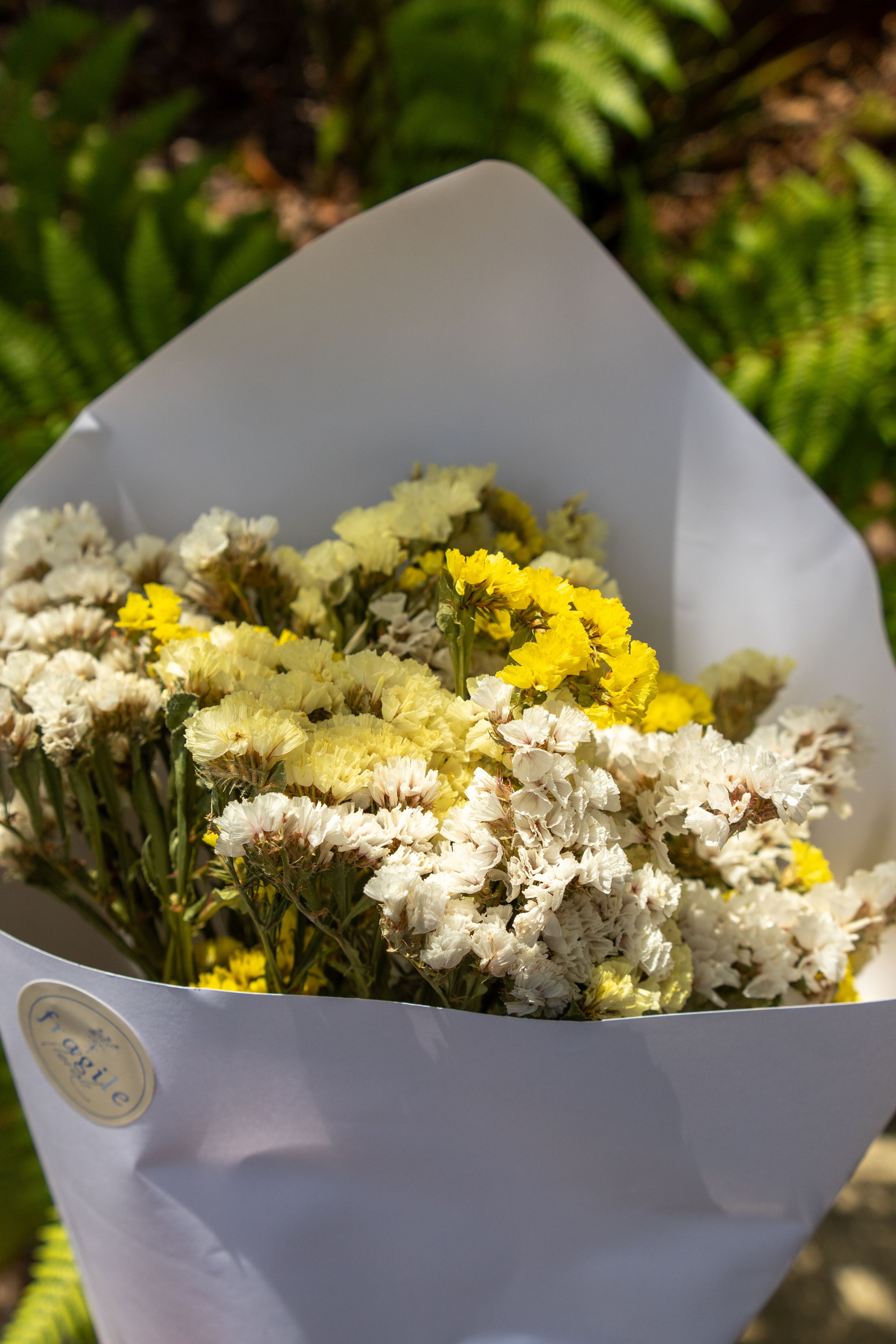flowers bouquet white yellow paper greenery leaves sunlight nature outdoors arrangement petals stems wrapping flora garden bright fresh vibrant natural decorative gift celebration romantic elegant beautiful delicate foliage primary-color