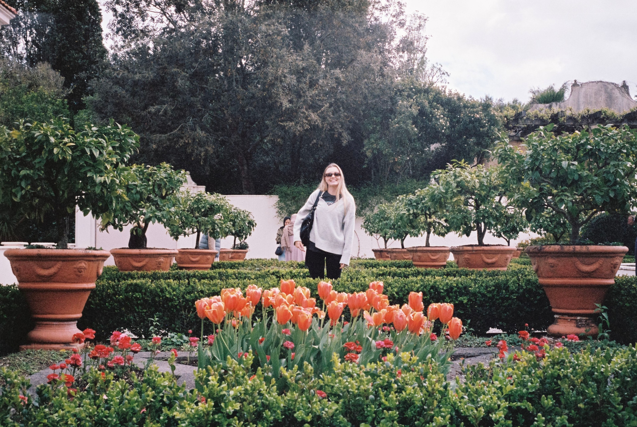garden plants flowers trees pots greenery orange red green pathway person outdoors nature landscape bushes sky walkway foliage shrubs primary