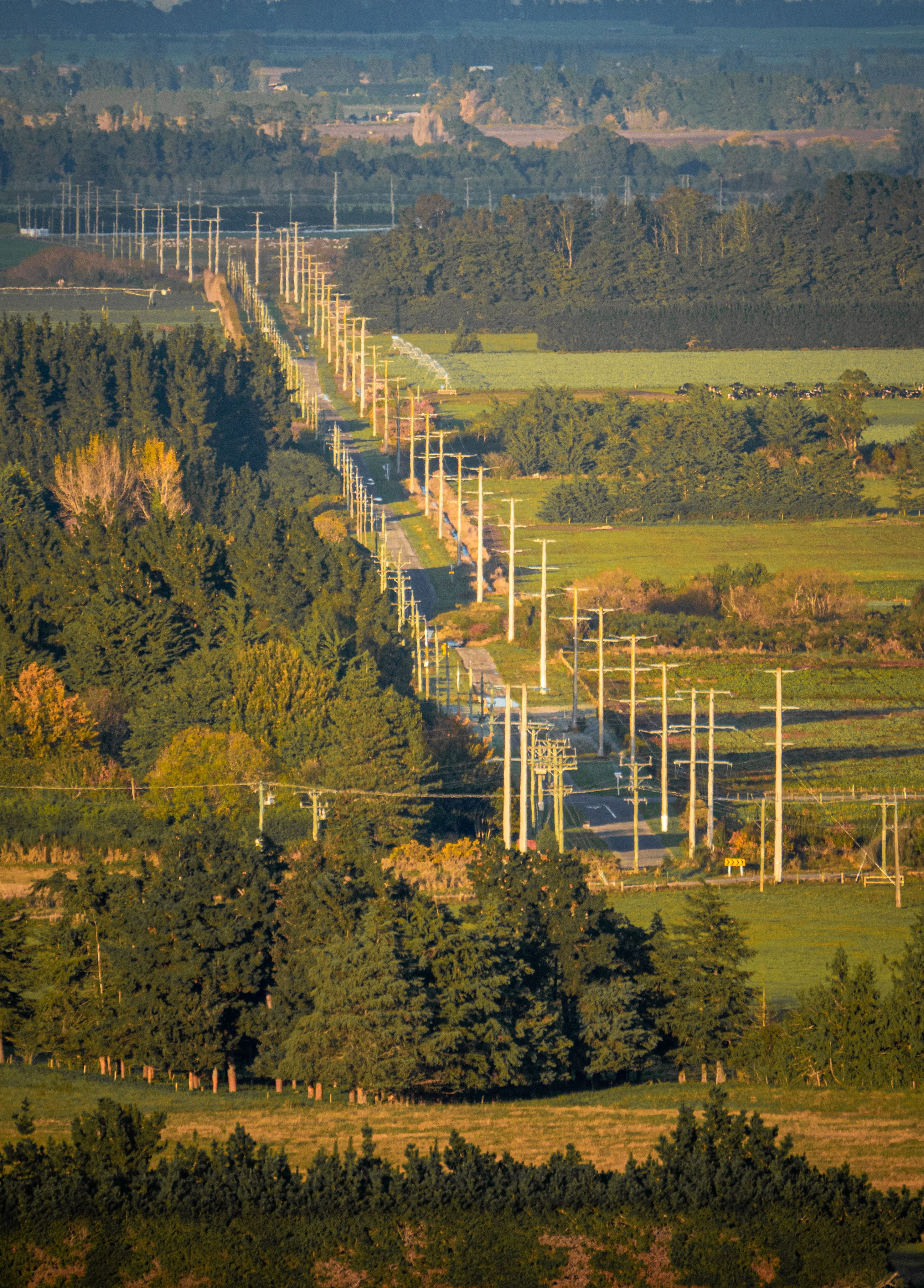 landscape trees powerlines fields road greenery forest horizon poles rural nature outdoors countryside blue sky vegetation electricity infrastructure perspective distance pathway green