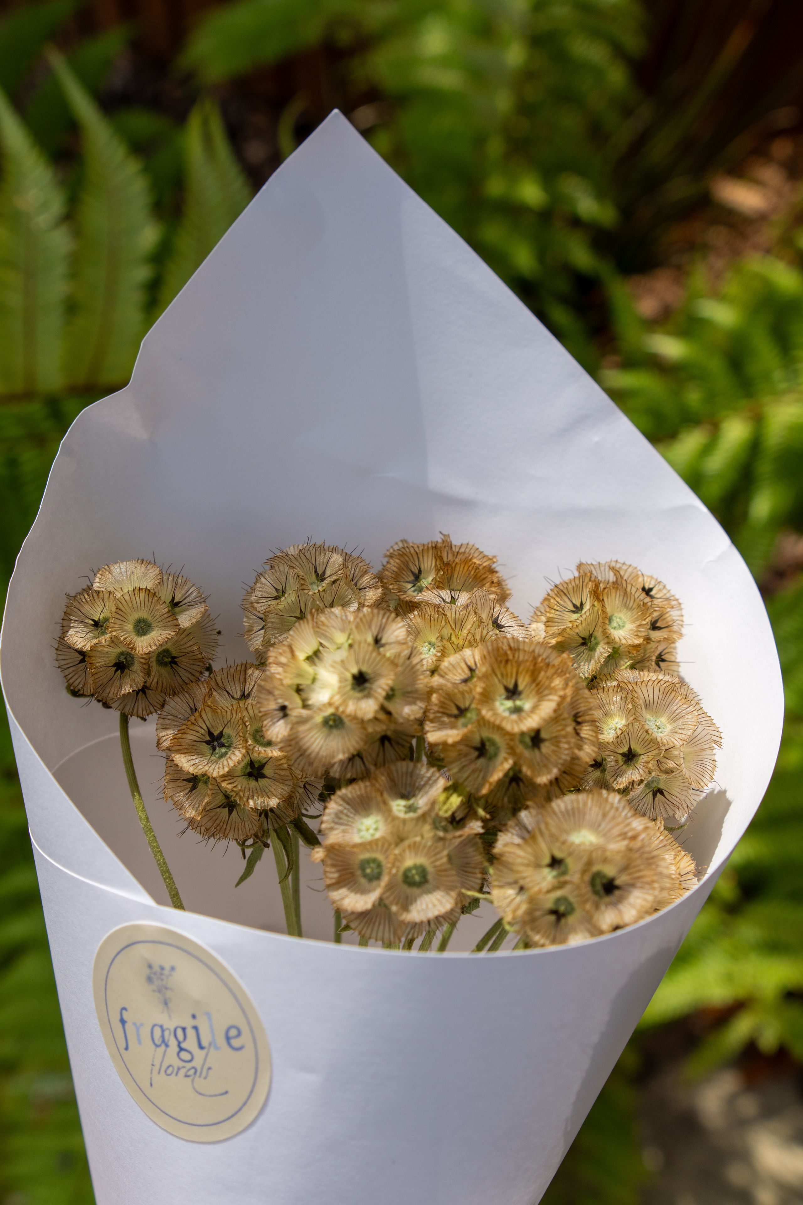 flowers bouquet paper white green nature outdoors leaves stems petals arrangement delicate natural sunlight flora wrapping garden label sticker brown beige