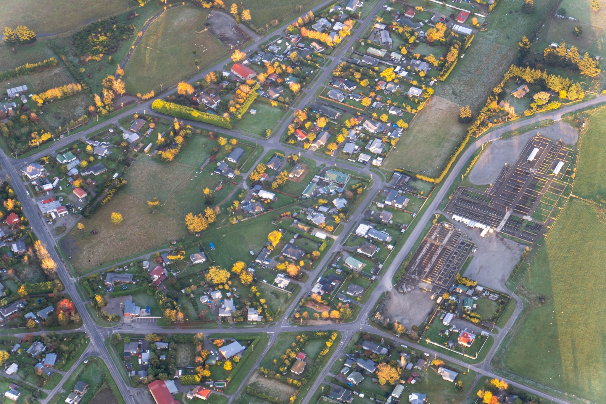 Aerial View Houses Roads Trees Buildings Fields Autumn Yellow Green Residential Area Landscape Urban Nature