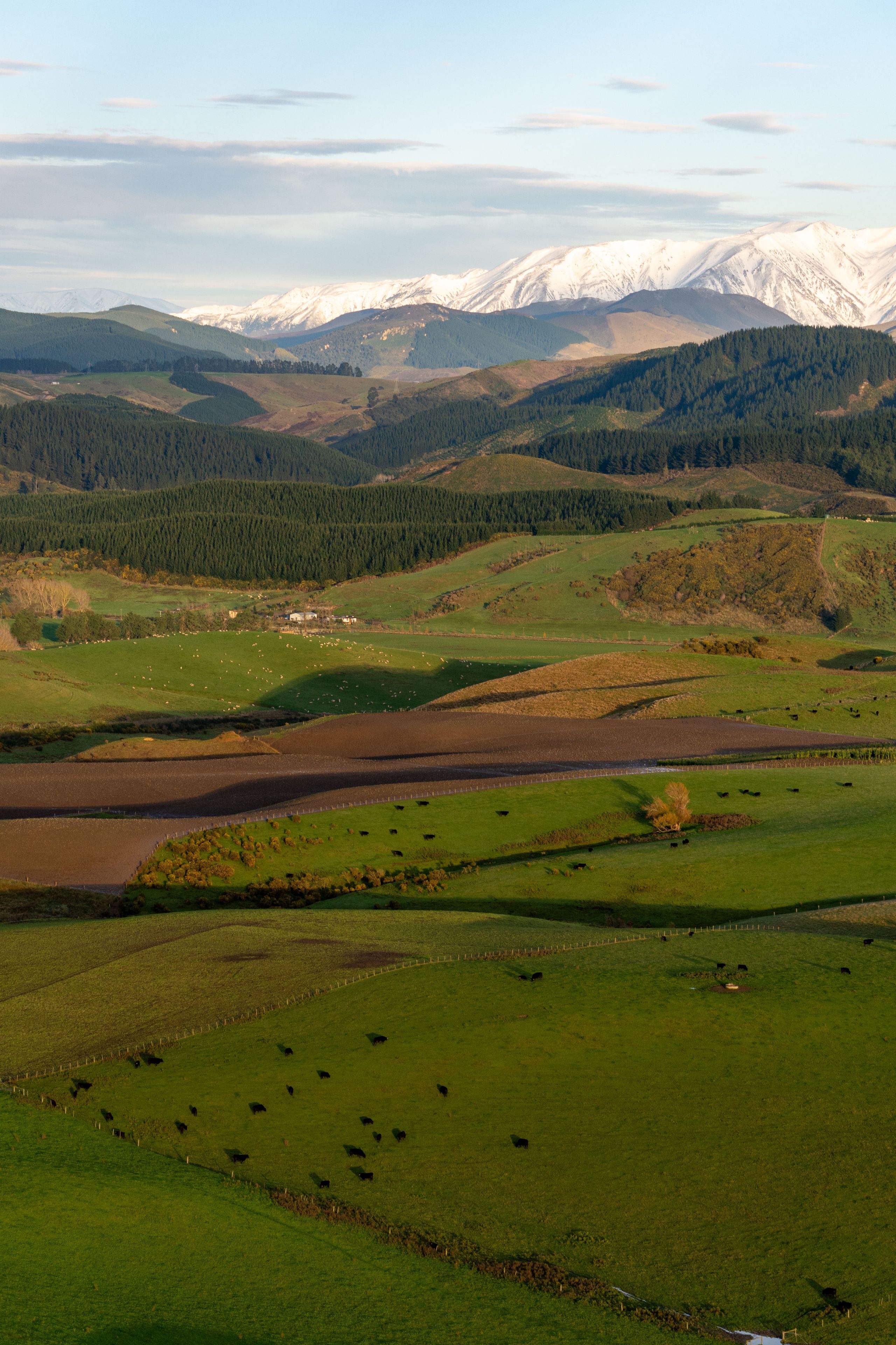 landscape hills mountains snow grass fields trees sky clouds green brown white blue pasture nature scenery rural countryside horizon panoramic scenic peaceful serene tranquil farmland agriculture meadow valley pastureland